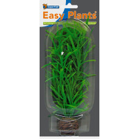 Easy Plants Middle NR3